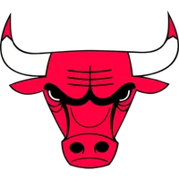 Chicago Bulls