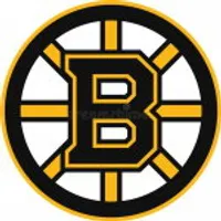 Boston Bruins
