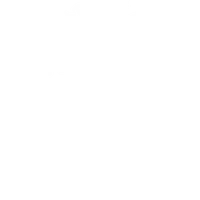 Somerset t20